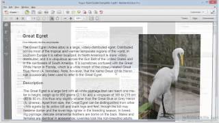 Adobe Acrobat XI Tutorial  Extracting And Replacing Pages [upl. by Tteragram]