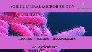 Plasmids Episomes Transposons Best explanation in hindi and english [upl. by Conah]