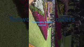 A beautiful range of flowers in the Toowoomba flower festival [upl. by Heuser]