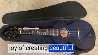 Honest review Enya EUC MAD Concert Ukulele 23 [upl. by Ringo]