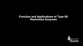 Function and Application of Type IIS Restriction Enzymes [upl. by Dougal]