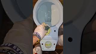 Complete Toilet Acid Cleaning [upl. by Elianora]