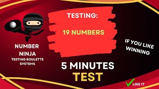 Can You Beat the Roulette with 19 Numbers 5Minute Experiment [upl. by Peri954]