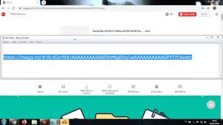 Error de MegaDownloader No se han ingresado URL válidas No se ha insertado un enlace válido [upl. by Namrac]
