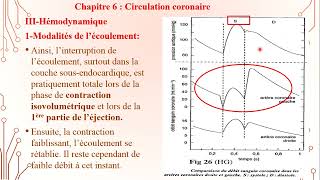 6  Circulation Coronaire 1 [upl. by Josee292]