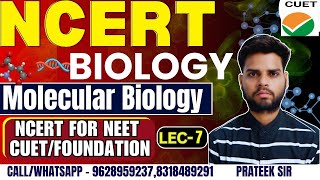 NCERT Biology Classes 2024  Molecular Biology  NCERT Complete Preparation for NEET  CUET  NCERT [upl. by Elocaj714]