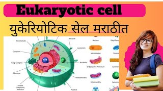 quotEukaryotic Cell Structure and Functionquot [upl. by Arerrac]