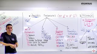 Princípios fundamentais Princípios IMPLÍCITOS e EXPLÍCITOS [upl. by Kcirttap504]