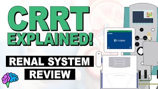 Renal System Review  CRRT Explained [upl. by Abdul]