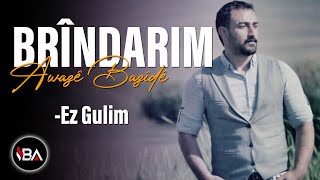 Awazê Bazîde  Ez Gulim  Brîndarim Official Music Gulim Gula Ber Bihare [upl. by Sedlik725]