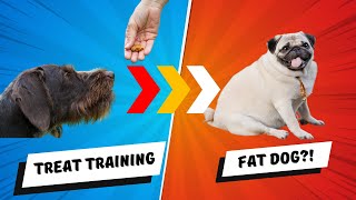 Does Treat Training Make Your Dog FAT [upl. by Assirak]