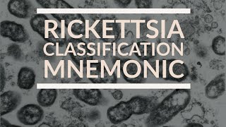 Rickettsia Classification mnemonic  Microbiology [upl. by Asalocin532]