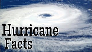 Hurricane Facts for Kids [upl. by Leksehc]