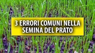 3 Errori Comuni che si Fanno nella Semina del Prato [upl. by Hedvah]