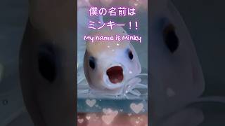 大切な金魚が病気になりましたgoldfish dropsy 松かさ病 えみこのおうち アクアリウム ミンキー雪ちゃん goldfish 金魚 [upl. by Cestar]