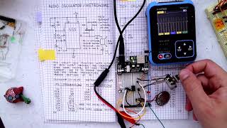 Forrest M Mims III  555 Timer  Audio Oscillator and Metronome [upl. by Bedwell597]