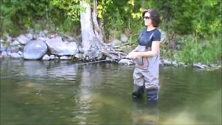 Fall Salmon Run on the Sheboygan River [upl. by Cassy]