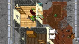 Tibia  Blood Brothers Mission 1 Quest [upl. by Anolla]