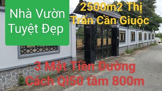 Nhà Vườn Thị Trấn Cần Giuộc Tổng Diện Tích 2500m2 Giá 88tỷ [upl. by Edlyn966]