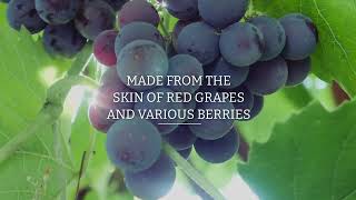 High Absorption Resveratrol  From The Skin of Red Grapes [upl. by Enrak]