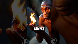 The Rise of Homo erectus history [upl. by Mure346]