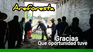 Hace dos años no fuimos a reforestar el cerro de coyotepec [upl. by Cassella]