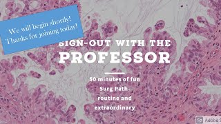 Signout with the Professor July24 [upl. by Brook]