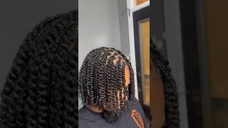 The Perfect Two Strand Twist [upl. by Atla]