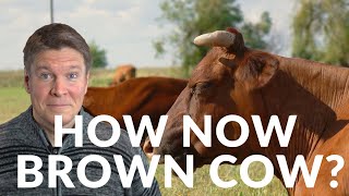 How Now Brown Cow  English pronunciation practice  English for Hungarians [upl. by Laktasic768]