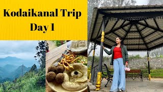 Kodaikanal Tourist Places  Kodaikanal Vlog Day 1  Places To Visit Eat And Shop Hindi Vlog [upl. by Ase]