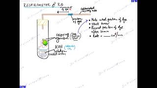 Respirometer and RQ [upl. by Unhsiv]