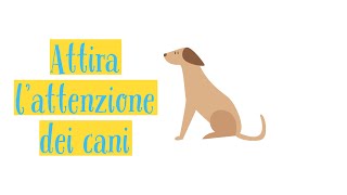 Suoni per Cani  Richiamo per cani [upl. by Ahseuqal]