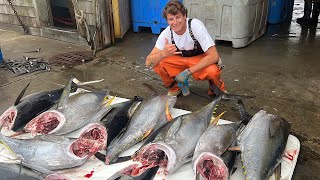 YELLOWFIN  BIGEYE BLUEFIN TUNA FISHING 2023  Ep 44 [upl. by Alita]