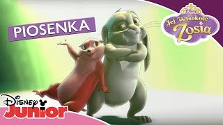 🎶 Bohater Uszaty  Jej Wyokość Zosia  Disney Junior Polska [upl. by Otrebor]