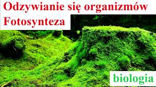 Odżywianie się organizmów Fotosynteza [upl. by Heringer574]