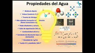 Sesión 05 Agua y electrolitos I [upl. by Anatak]