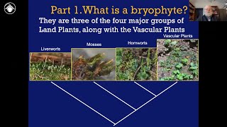 Bryophytes Module 1 What is a bryophyte [upl. by Krishna295]