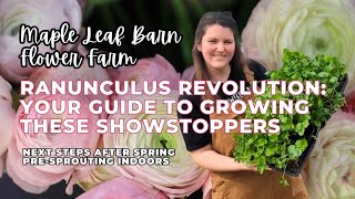 Ranunculus Revolution Your Guide to Growing These Showstoppers  How to Grow Ranunculus [upl. by Aicilra]