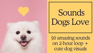 Sounds Dogs Love Dog TV featuring sounds for dogs  2 hour loop [upl. by Pastelki335]