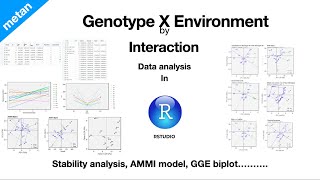 Stability analysis in R  Genotype X Environment interaction  Fixed effect models AMMI  GGE plot [upl. by Celeski]