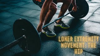 Lower Extremity Movement The Hip 4 [upl. by Coshow]