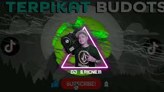 Tiktok Viral TERPIKAT Budots Remix  Dj Ericnem [upl. by Terrill997]