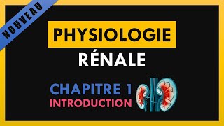 Physiologie Rénale  Chapitre 1  Introduction [upl. by Vitale]