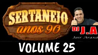 SERTANEJO ANOS 90 VOLUME 25 [upl. by Rossen435]