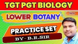 Lower Botany best practice set  Virus Bacteria Lichen Bryophyta Pteridophyta amp Gymnosperm mcq [upl. by Heyde621]