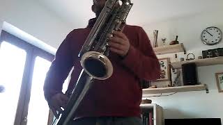 LINTON contrabass clarinet [upl. by Mukerji]