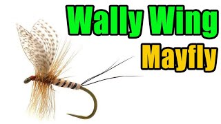 Wally Wing Mayfly Fly Tying [upl. by Kotta]