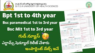 DR YSR UNIVERSITY 2024 Bpt Bsc mlt Paramedical Exams Time table Schedule Released [upl. by Seabrooke]