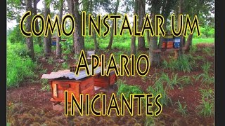 Como Instalar um Apiário PIniciantes [upl. by Pelag]