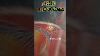 Durga Puja Bisharjan 2024  Kesinga  Kalahandi  Odisha  shorts viralvideo nabinvlog9 [upl. by Cassie]